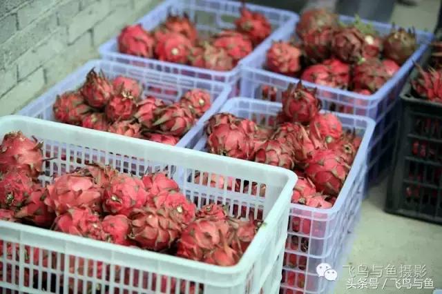 最好的旅程是在家陪伴,最好的旅行是陪伴