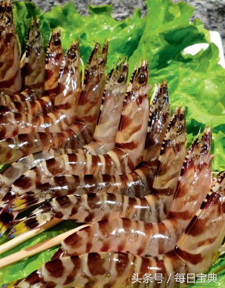 舌尖上的龙虾,品尝正宗龙虾美食的感受