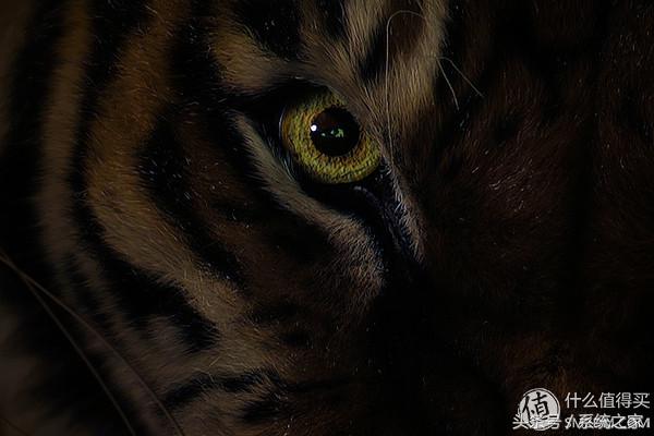 4khdr和4kuhd有什么区别,4khdr和4k杜比视界哪个效果好