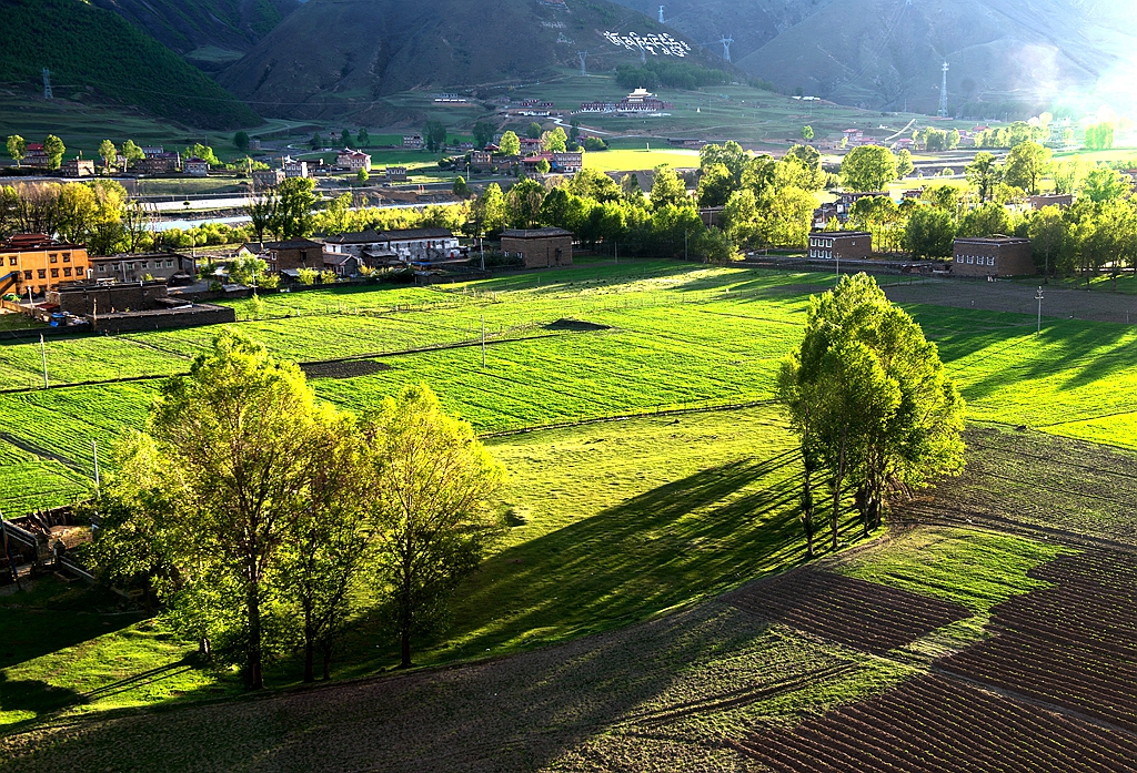 十大拍婚纱照地点冬季,最适合拍婚纱照的地方