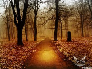 是我想太多你总这样说,是我想太多你总这样说下一句