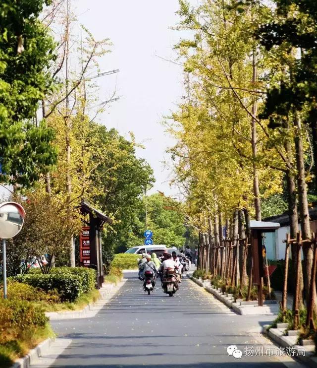 明日立冬,扬州最美的秋景都在这里啦!