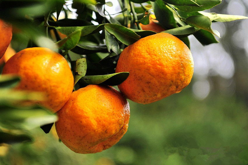 贵州令人惊叹的地方,贵州有什么之乡