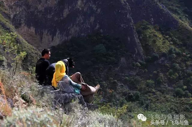 最好的旅程是在家陪伴,最好的旅行是陪伴