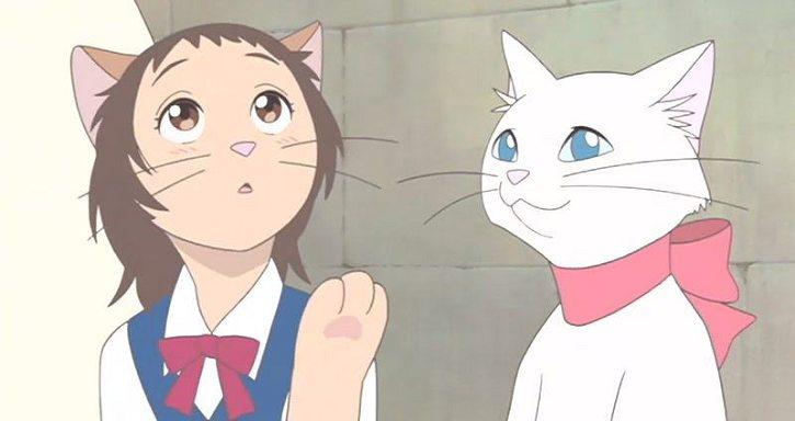 动漫卡通猫的名字,可爱动漫猫图片