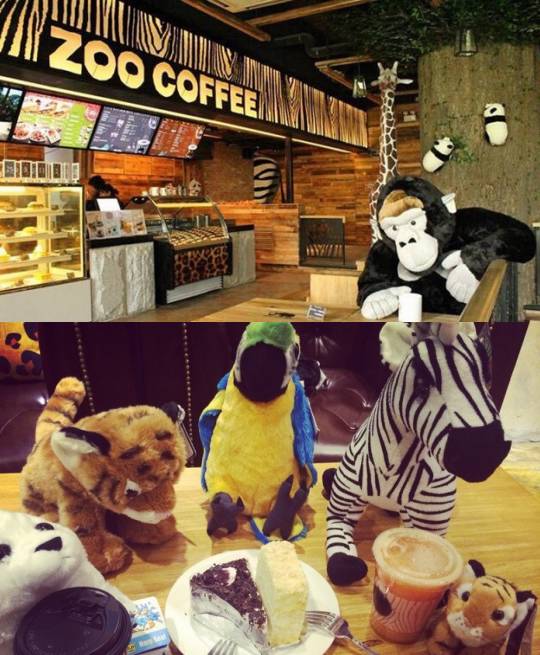 重庆美食5-6人餐,重庆美食攻略十大必吃排行榜文章