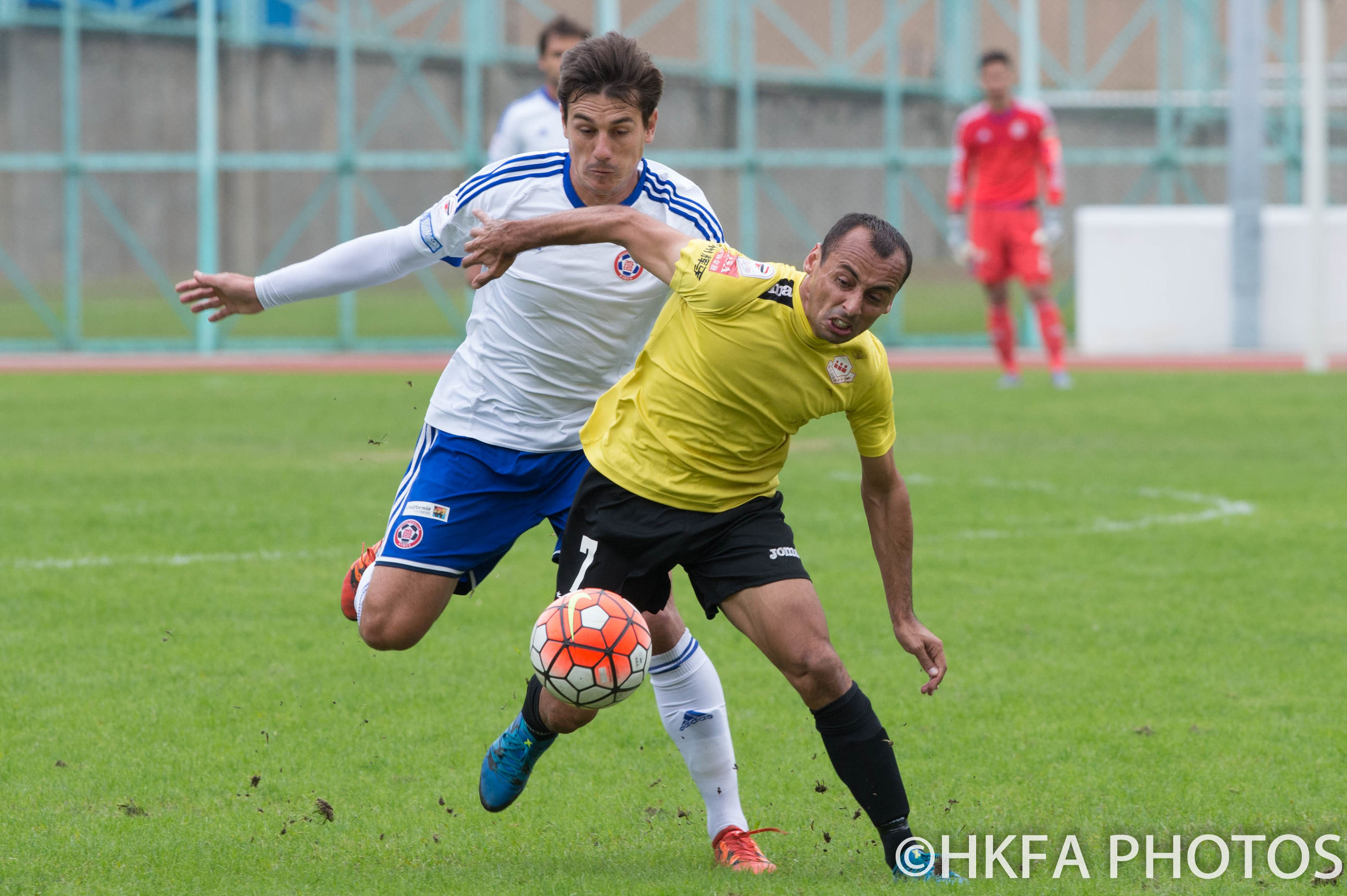港澳台足球新闻,港澳台今日新闻