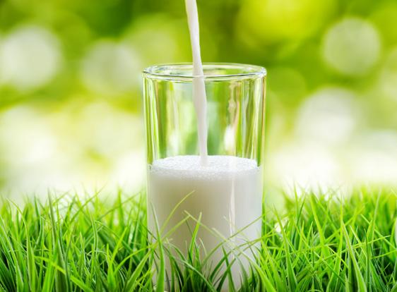 如何有效的去黑头小妙招,最有效的去黑头方法小妙招