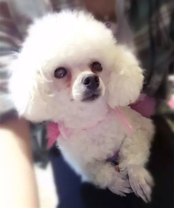 美甲店铺推荐便宜又好看,又便宜又好看的美甲店