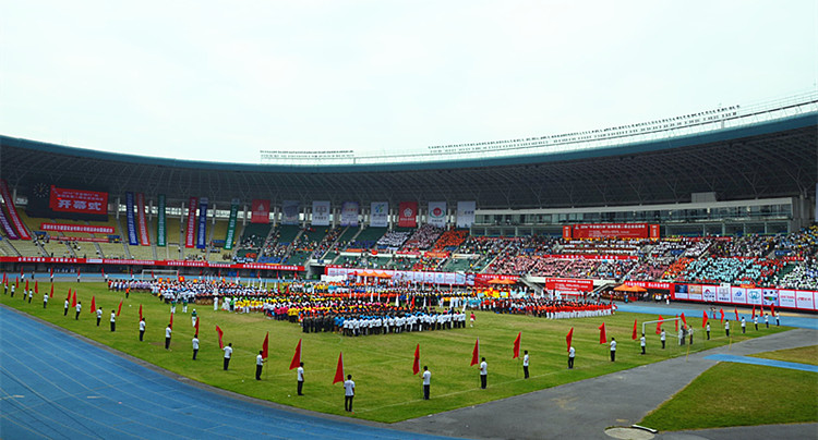 足球场球迷疯狂闯进场内,足球疯狂球迷冲场庆祝