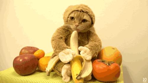 涔颁笉灏界殑鍛ㄨ竟,涔颁笉鍒版兂瑕佺殑鍛ㄨ竟