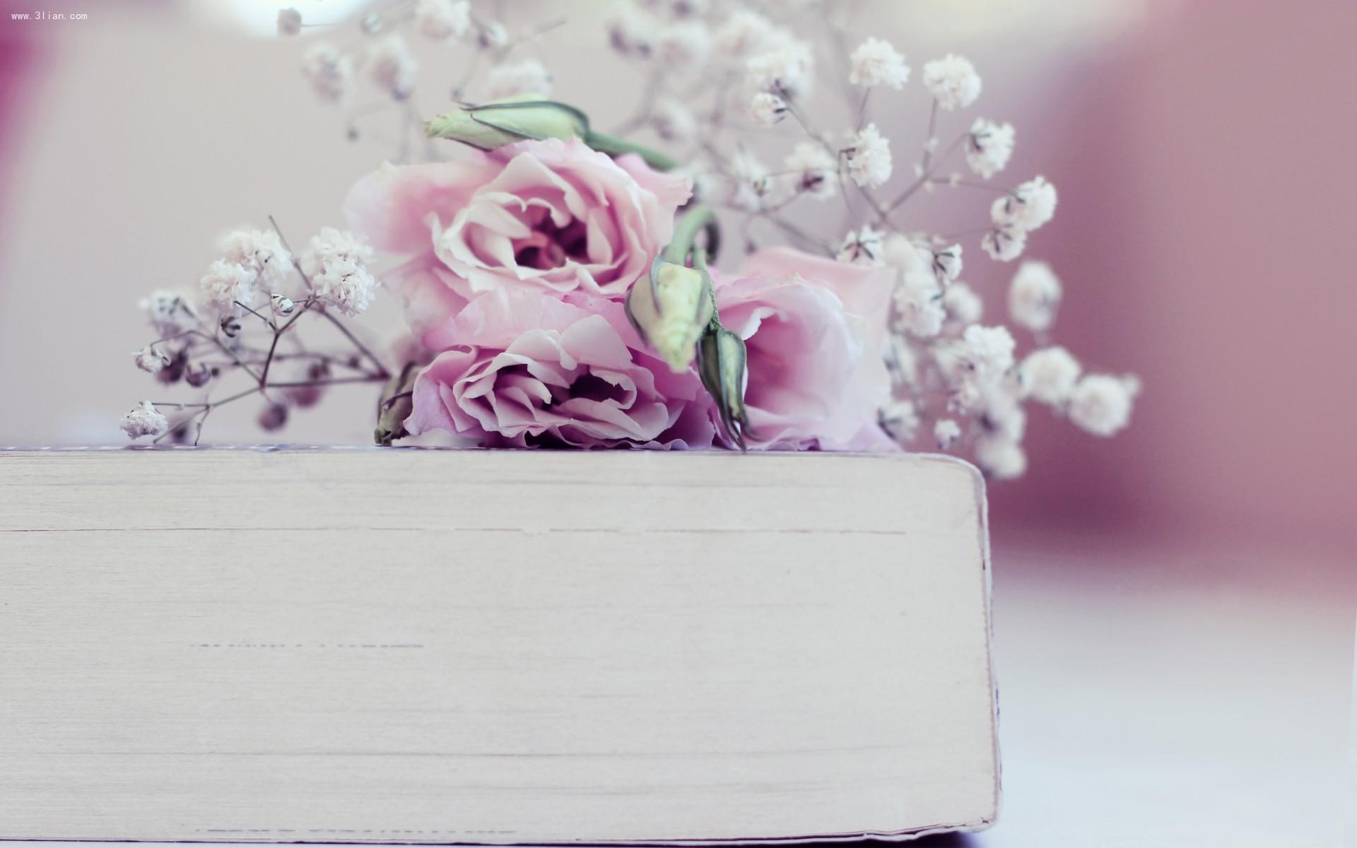 挑战初级会计,极限挑战做完数学题