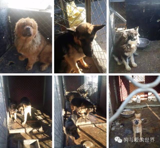 他们是最可爱的人作文350字 (他们是最可爱的人作文)