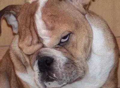 俩俩相忘陈孝萱,陈孝萱分手原因