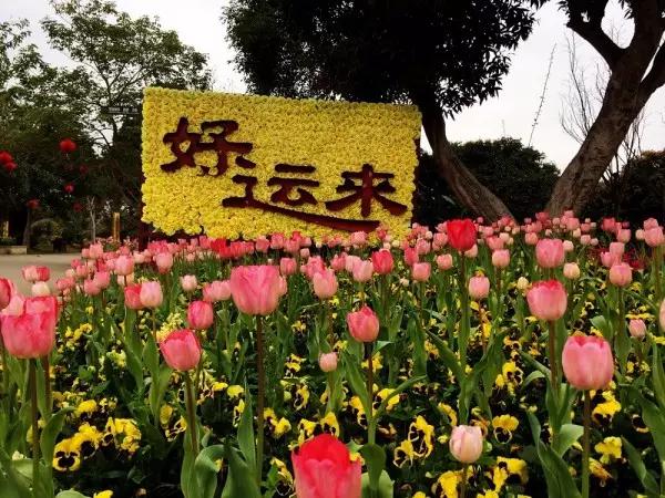 从东莞出发,不到两小时,就可以感受到靓爆灯的童话世界！