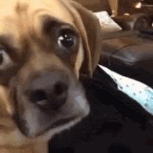 贝克汉姆一家度假最新,贝克汉姆一家六口颜值逆天