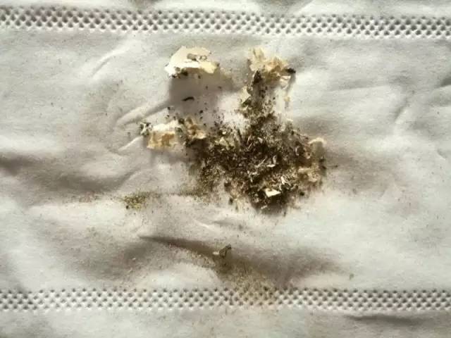 古籍虫蛀修复用什么胶,虫蛀的古籍如何修复