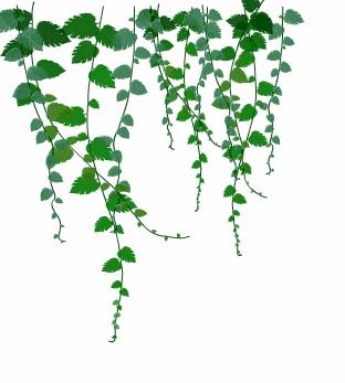 在长沙市实验中学读书是什么体验,在一所很差的中学读书是什么体验