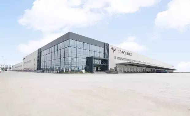 太平鸟202春夏时装,2023太平鸟时装