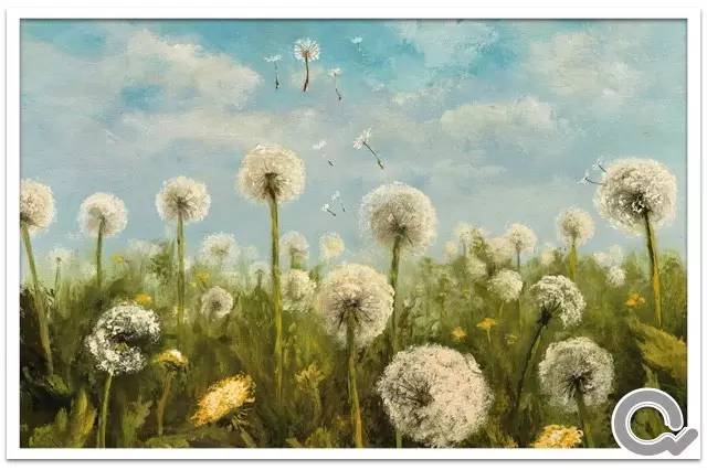 我的爱情不是上厕所||晶晶文化