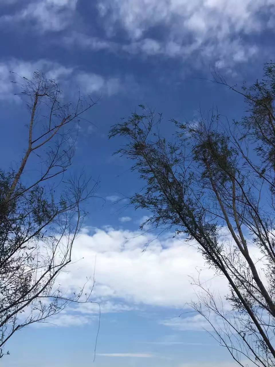 沈阳冷空气蓝天白云,冷空气来袭空气更清新天气变寒冷