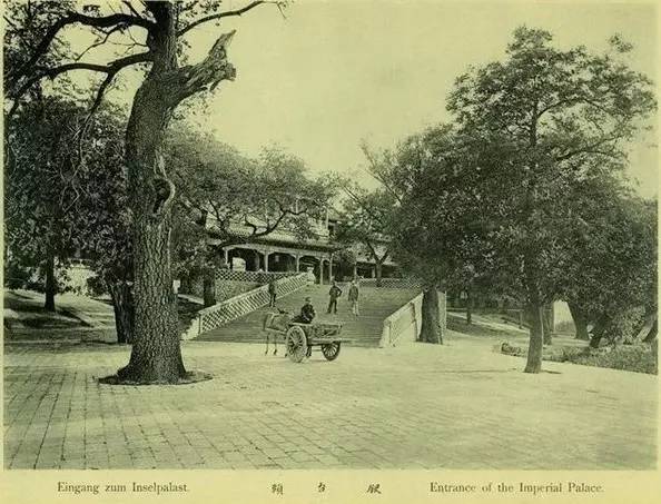 她关注|神秘的中南海，原来是这样！