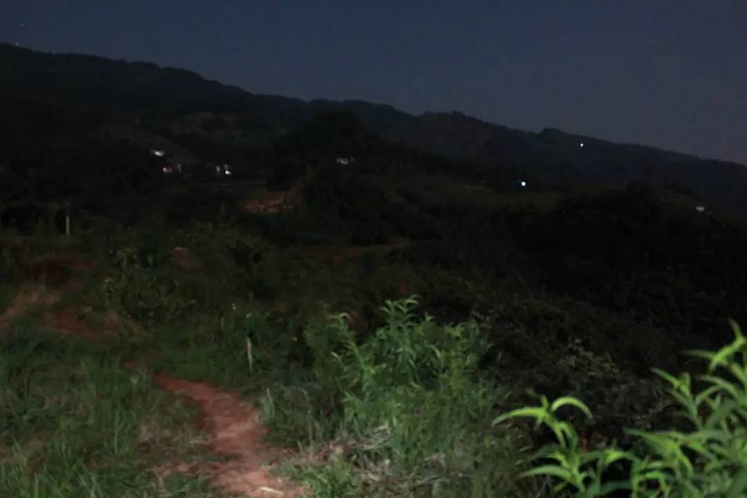 在蒙顶山的守候,蒙顶山晚上