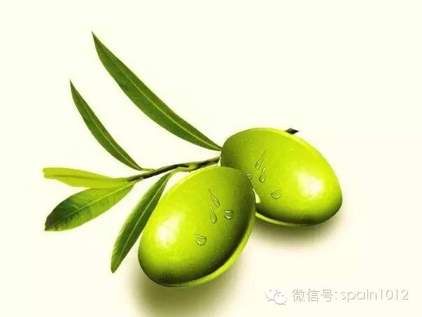 西班牙橄榄油十大排名,西班牙进口伯爵橄榄油