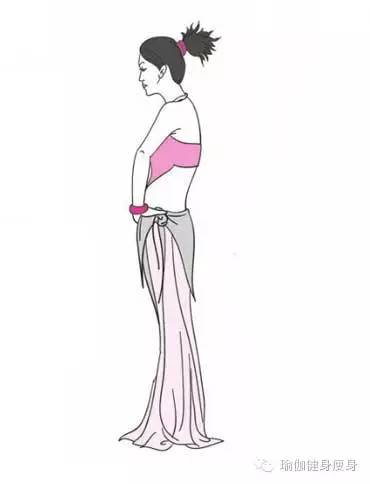 女性健身房减脂塑形训练计划,女士健身房腰腹训练