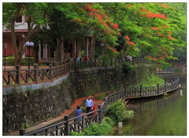 关注深圳龙岗,深圳龙岗最好消息