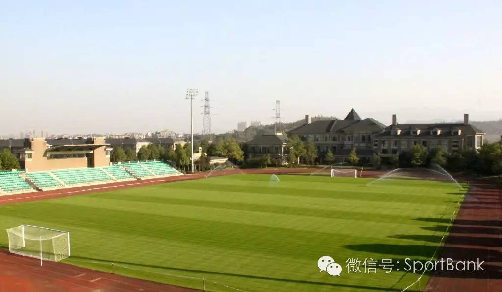 浙江绿城足球宋卫平打假球,宋卫平绿城足球完整版