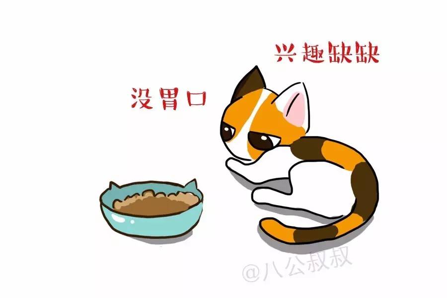 狗狗脂肪肝的临床表现,涨姿势对身体的好处