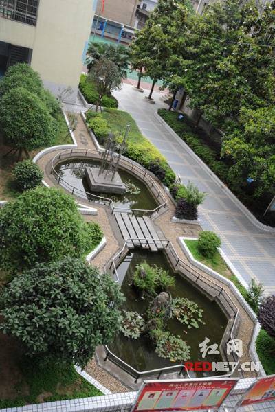 家门口的好学校校长,芙蓉区燕山小学办学特色