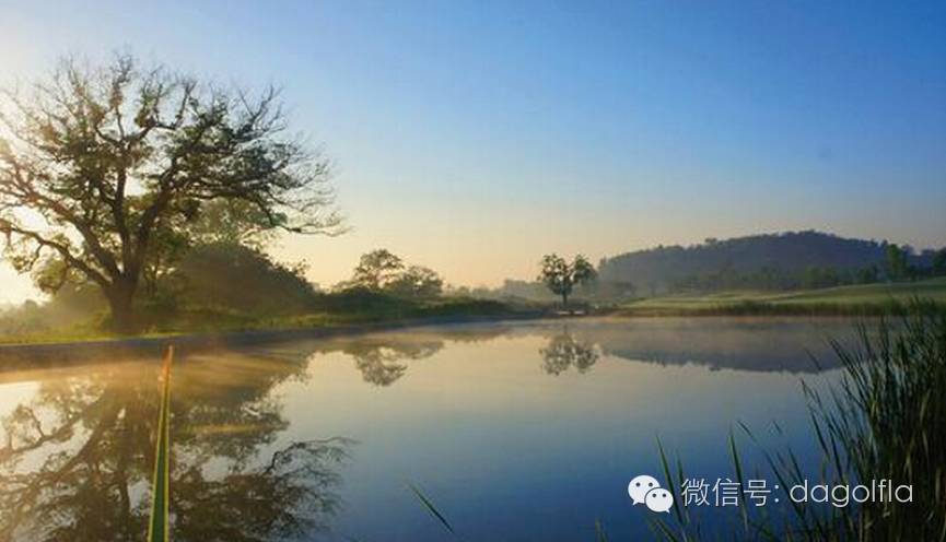 高尔夫优惠团购99元直播,国际高尔夫订场