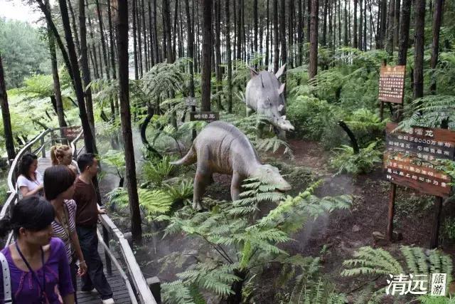 想在佛冈嗨翻天?这条路线一定让你热血沸腾!