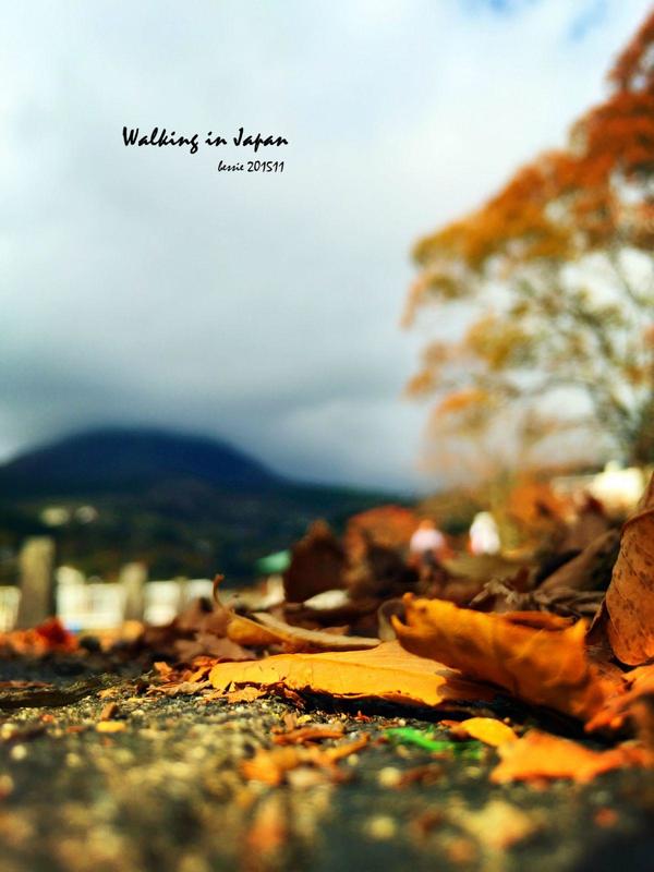 霓虹国秋日暴走之旅,漫步日本旅行游记