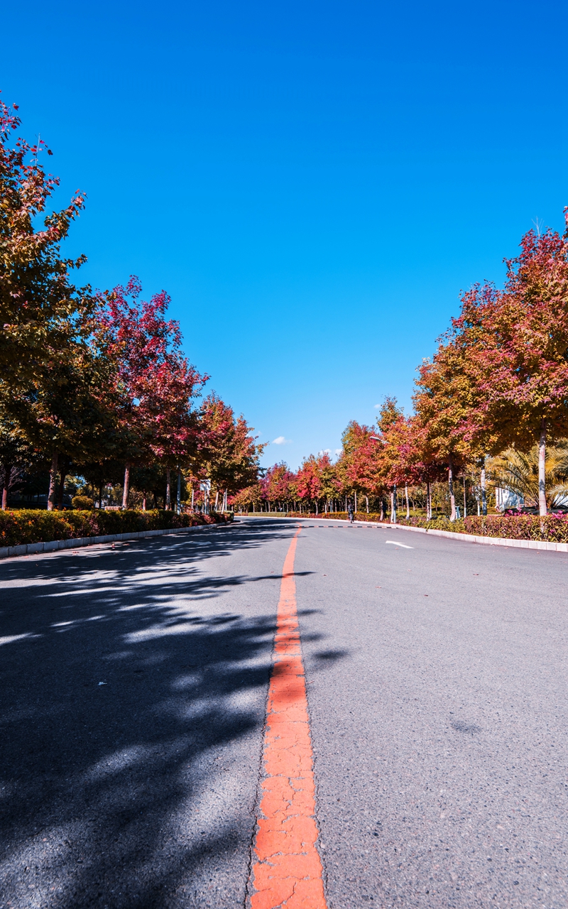 浜戝崡甯堣寖澶у鍛堣础鏍″尯,浜戝崡甯堣寖澶у