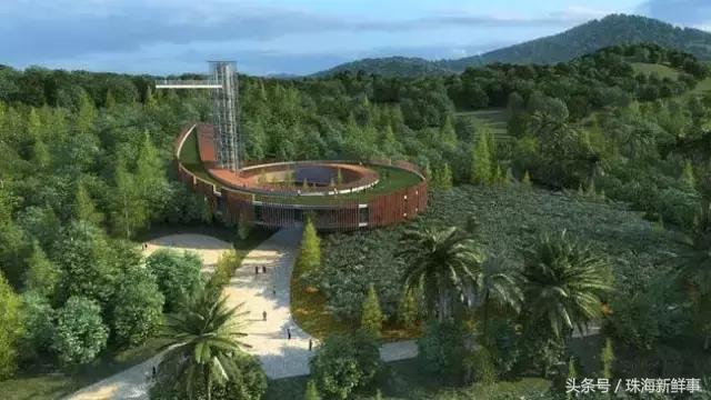 珠海现在还有哪些公园,美爆了的景点