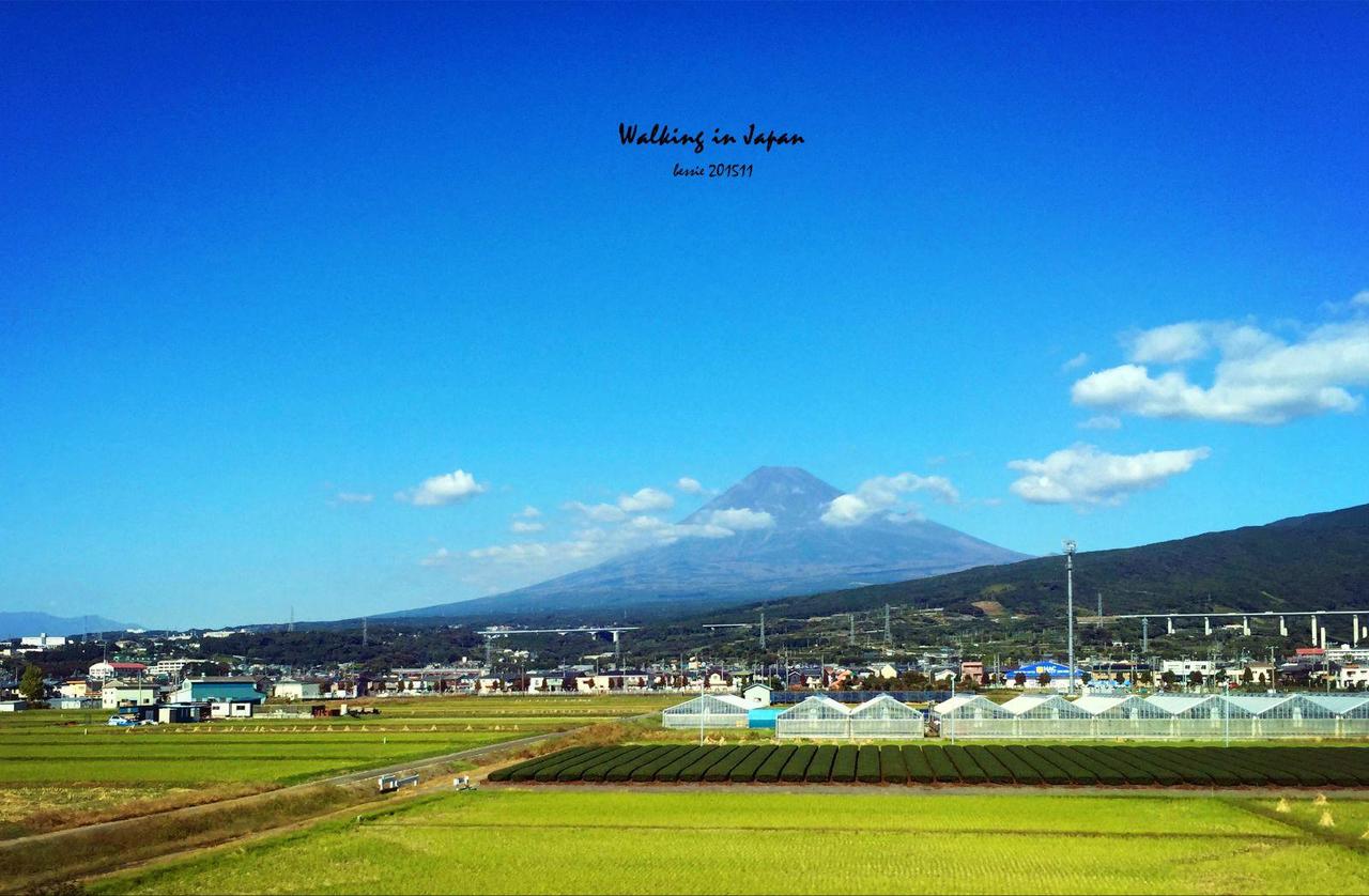 霓虹国秋日暴走之旅,漫步日本旅行游记
