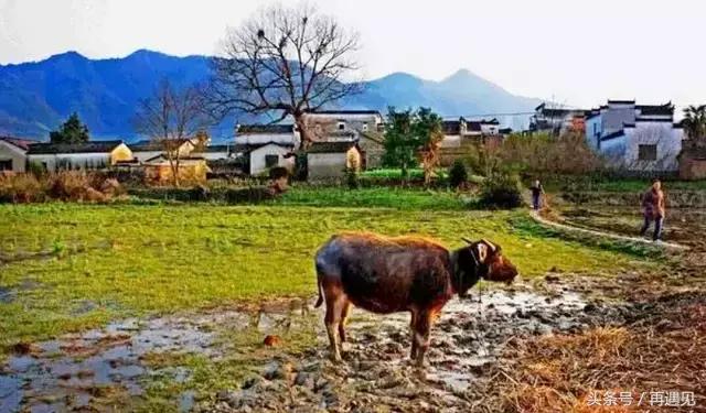 皖南有几条自驾线,皖南一条天路