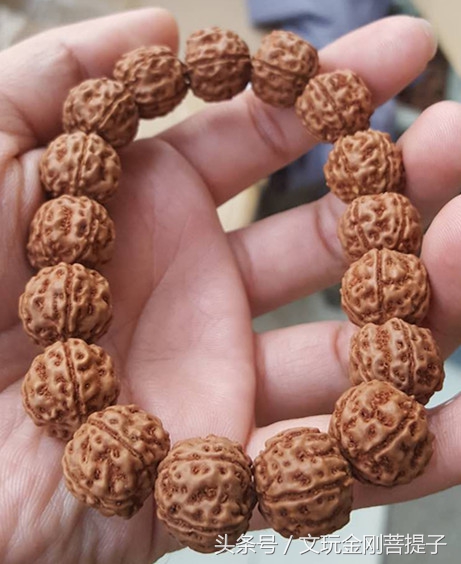 您有没有察觉您玩的金刚越来越小了呢？