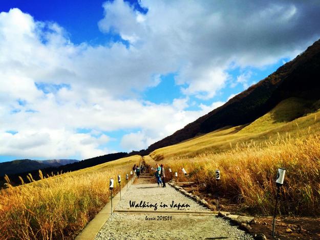 霓虹国秋日暴走之旅,漫步日本旅行游记