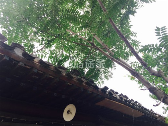 老北京胡同民宿,北京胡同好的民宿推荐