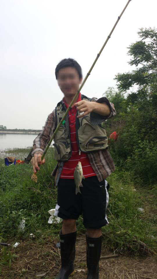 在山上砍竹竿拿来钓鱼养鱼,金竹适合做鱼竿吗