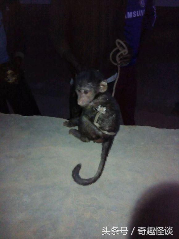 我在非洲工作的日子，给大家介绍下非洲的风土人情