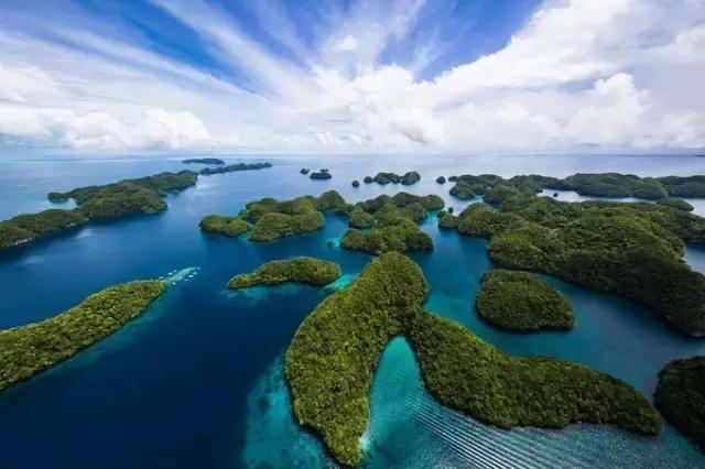 帕劳群岛旅游攻略大全,超强整理去帕劳不得不看的攻略