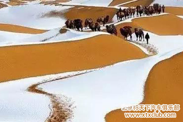 大漠传奇——冬季自驾库布其金色沙海