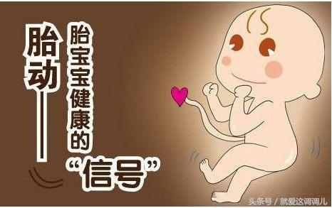 神奇宝宝胎动视频,胎宝宝聪明的胎动表现