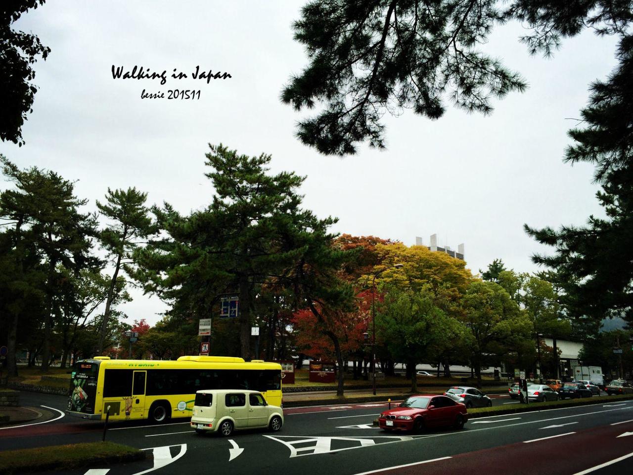 霓虹国秋日暴走之旅,漫步日本旅行游记