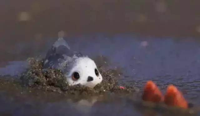 鸟是好鸟就是话多这幅图表达什么,鸟是好鸟是什么梗